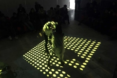 Simbiosis_empatía3.0@MinervaHdz040