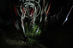 Anima_Mundi_LabCo55