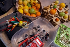 LabCo_6oct18©_Euridice-Navarro01